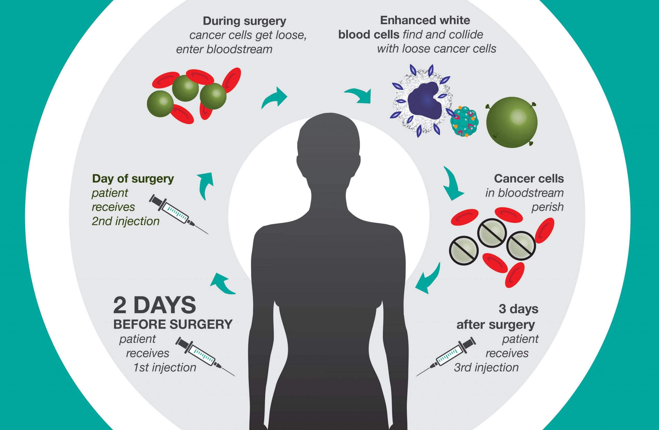 cancer death infographic